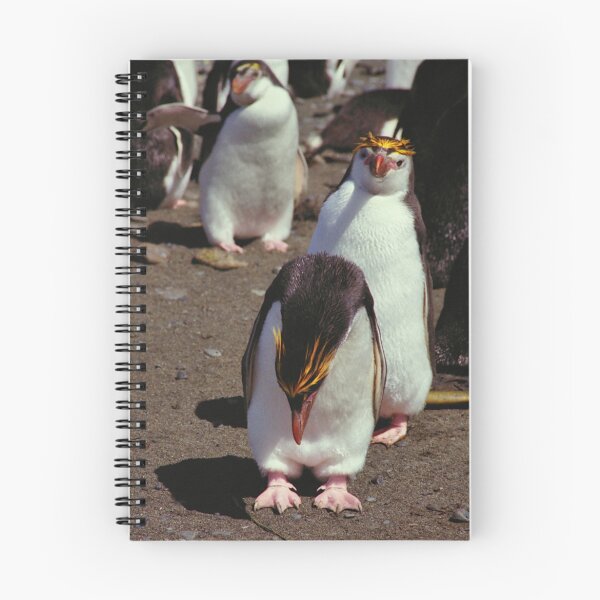 Item preview, Royal Penguins on the Beach at Macquarie Island designed and sold by Carole-Anne.