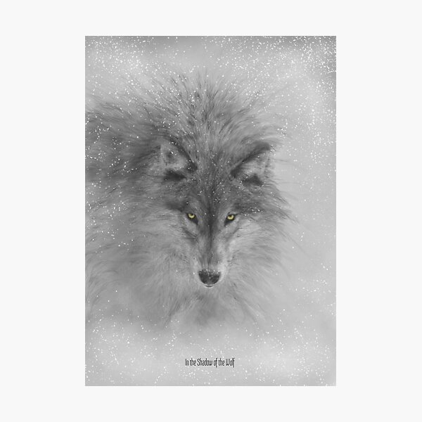 I AM THE STORM Photographic Print