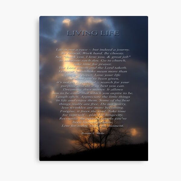 Living Life 2 Canvas Print