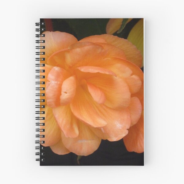 Item preview, Orange Begonia. designed and sold by Woodie.