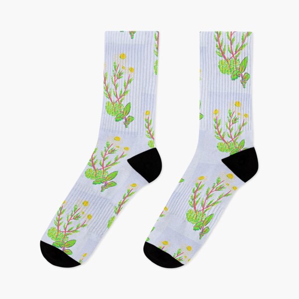 Item preview, camomile flowers designed and sold by HenrietteML.