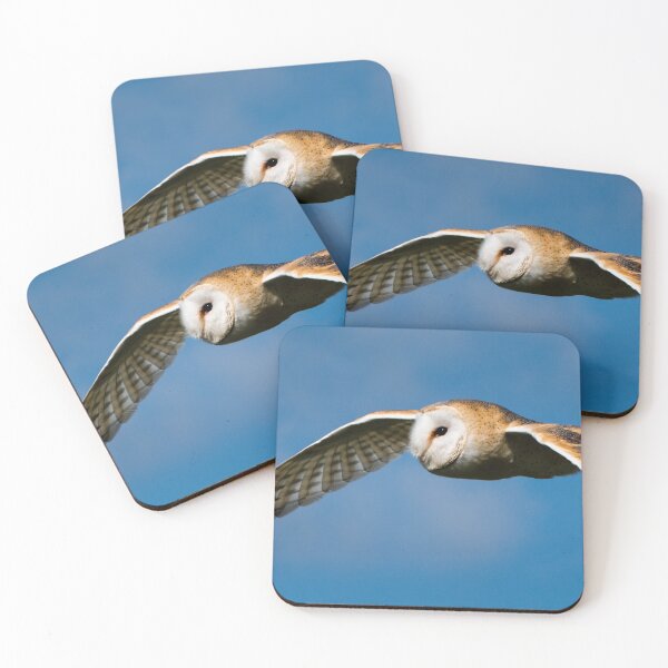 Item preview, Barn Owl in Flight designed and sold by John Dunbar.