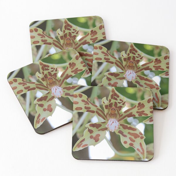 Item preview, Green and Brown Lady Orchid designed and sold by Linda Walsh.