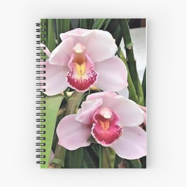 Item preview, Pretty in Pink designed and sold by Robin Kinnard.