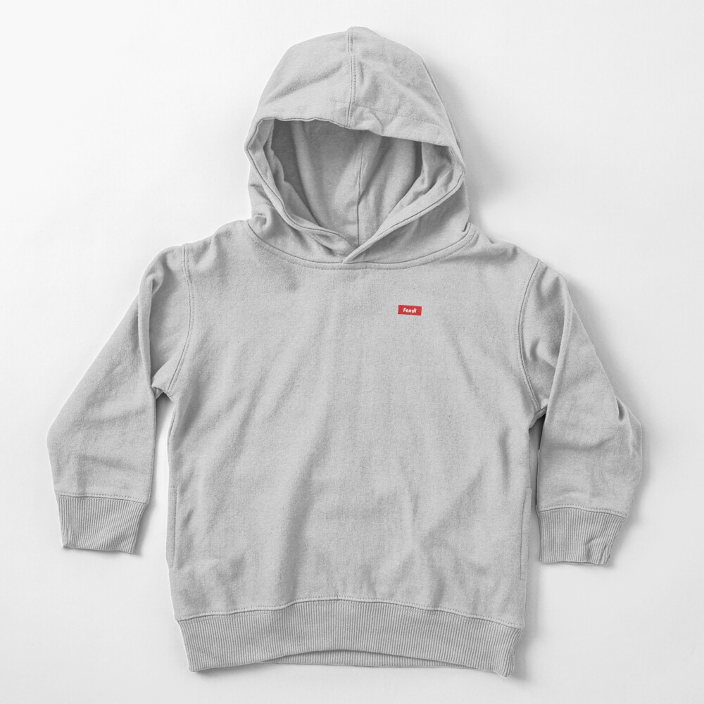 fendi box logo hoodie