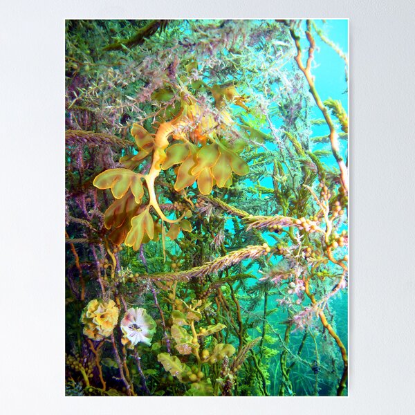Hidden in the flower bed. Poster