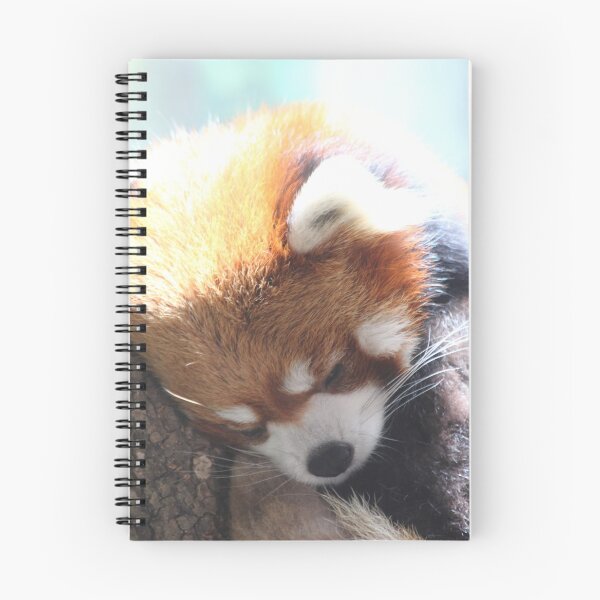 Item preview, The Red Panda designed and sold by Olivia Plasencia.