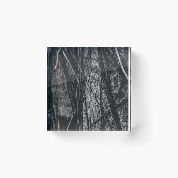 Item preview, Black forest texture designed and sold by attracdionz.