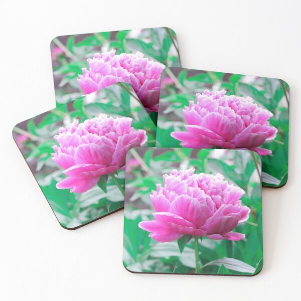 Item preview, Pink Peony designed and sold by emhedges10.