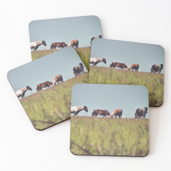 Item preview, Chincoteague Ponies designed and sold by JustinImler.