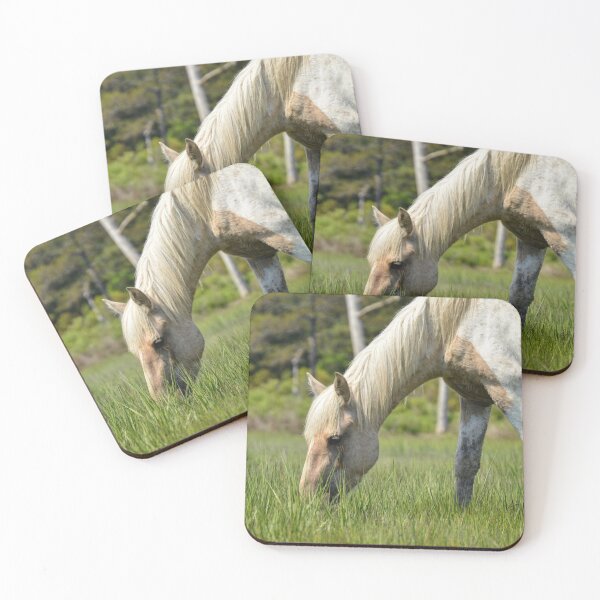 Item preview, Chincoteague Pony designed and sold by JustinImler.