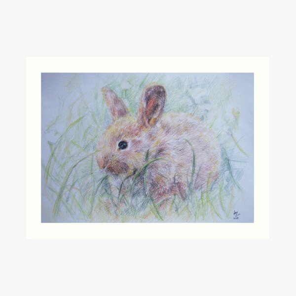 Bunny Art Print
