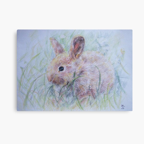 Bunny Canvas Print