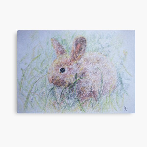 Bunny Metal Print