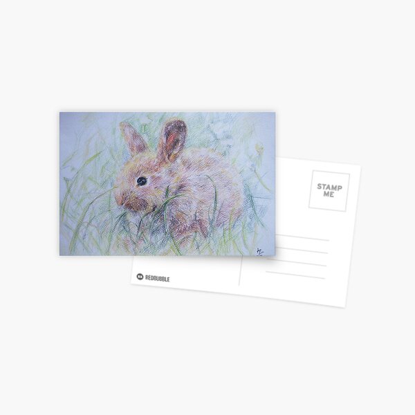 Bunny Postcard