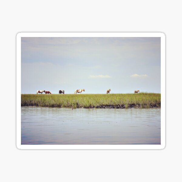 Item preview, Chincoteague Ponies designed and sold by JustinImler.