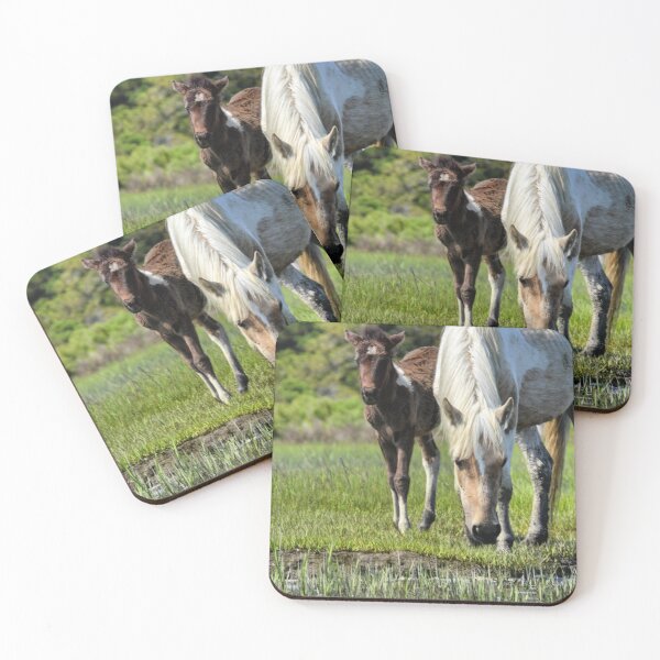 Item preview, Chincoteague Ponies designed and sold by JustinImler.