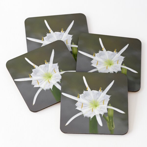 Item preview, Cahaba Lily  designed and sold by Richard Nix.