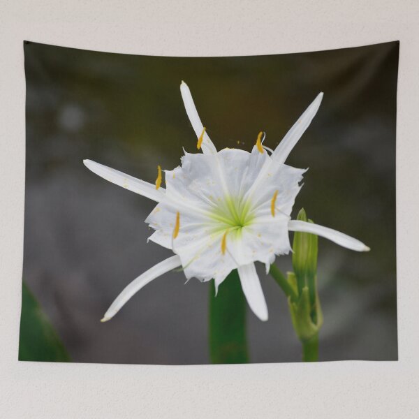 Item preview, Cahaba Lily  designed and sold by Richard Nix.