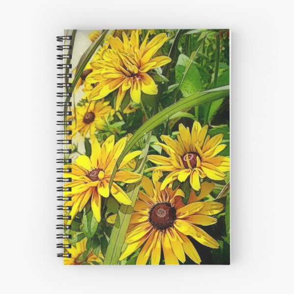 Item preview, Black eyed Susan designed and sold by Fancieplants.