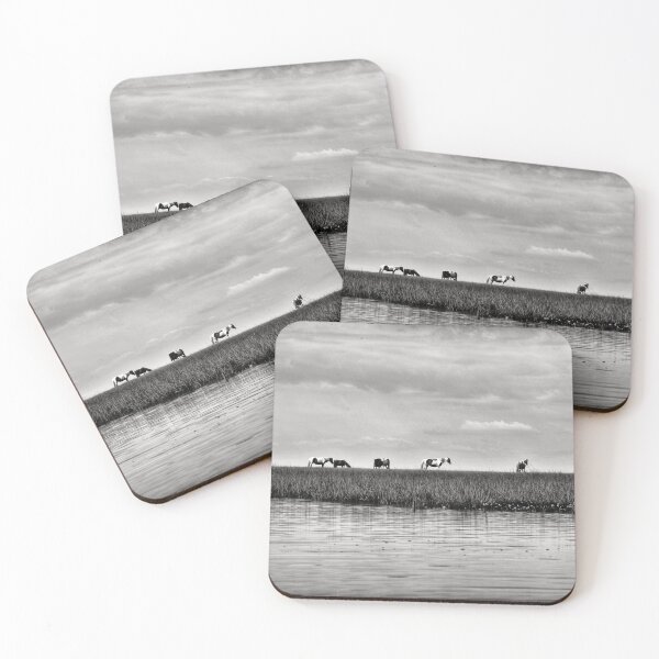 Item preview, Chincoteague Ponies designed and sold by JustinImler.