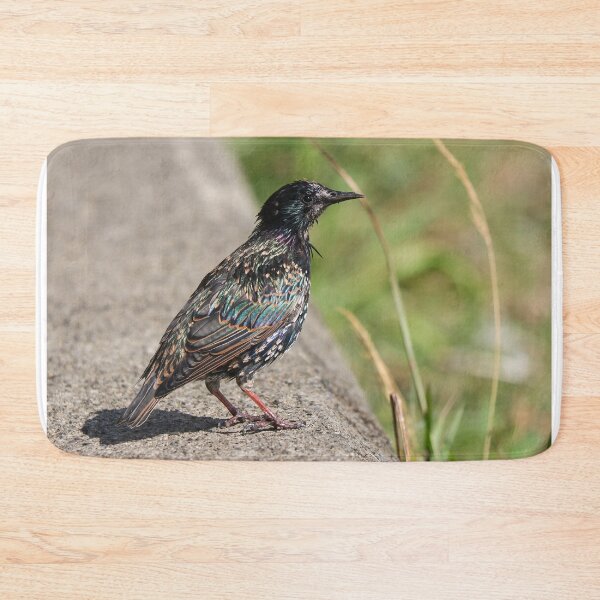 Item preview, Fading starling designed and sold by GreyFeatherPhot.