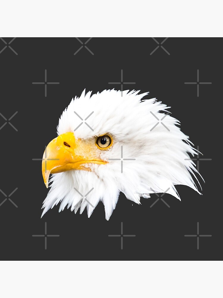 Thumbnail 2 von 2, Stofftasche, Geschenkidee Adler Foto Weißkopfseeadler designt und verkauft von Igelchen.