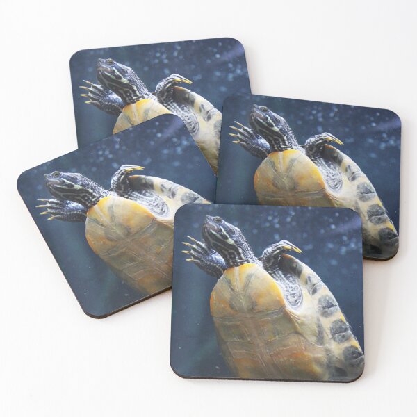 Item preview, Turtle designed and sold by Asrais.