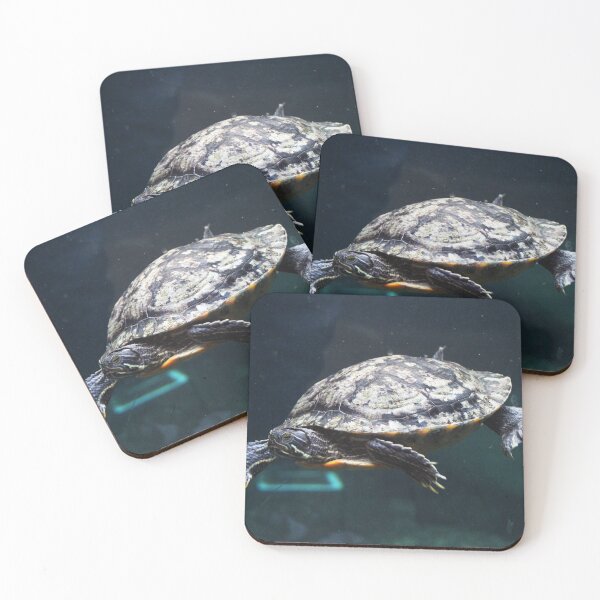 Item preview, Turtle designed and sold by Asrais.