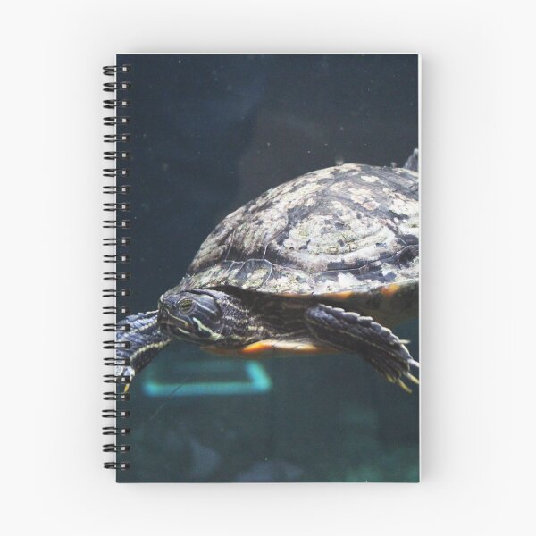Item preview, Turtle designed and sold by Asrais.
