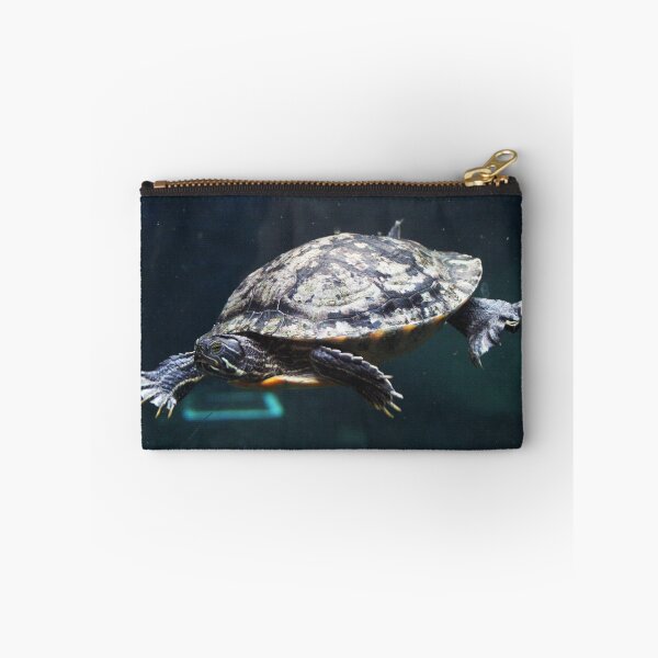 Item preview, Turtle designed and sold by Asrais.