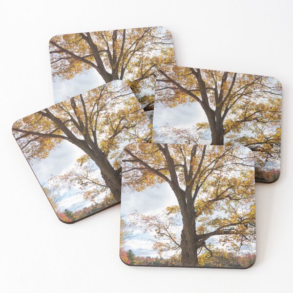 Item preview, Autumn Tree designed and sold by John Rivera.
