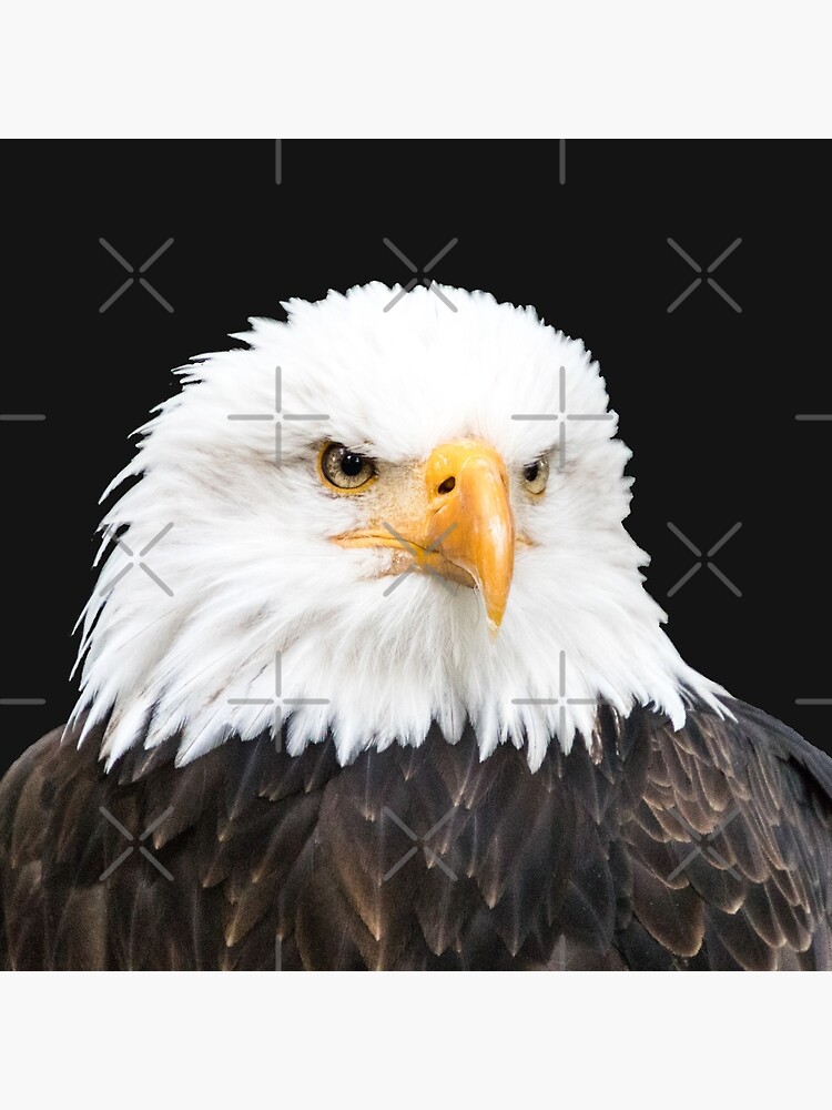 Thumbnail 2 von 2, Stofftasche, Weißkopfseeadler designt und verkauft von Igelchen.