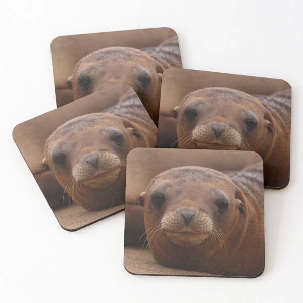 Item preview, Sea Lion Browny designed and sold by MelKowasic.