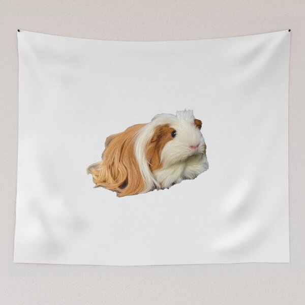 Item preview, Rapunzel the guinea pig designed and sold by Hezzyuk.