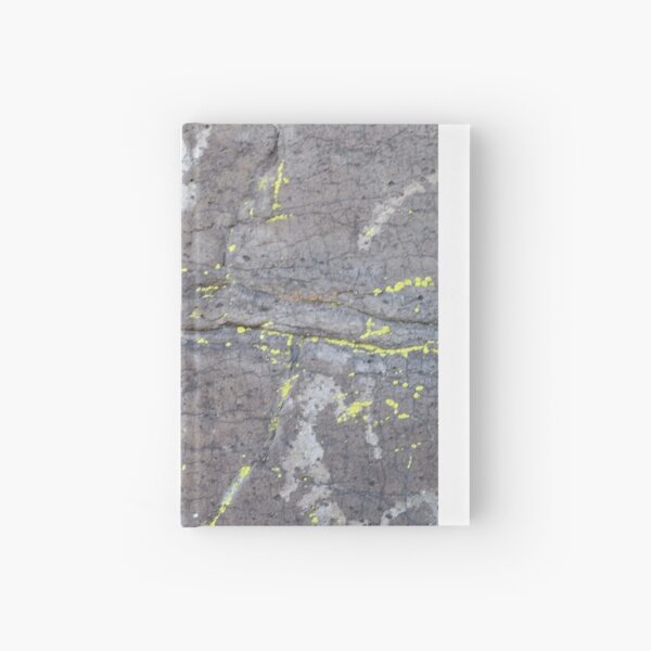 Arcosanti AZ petroglyphs Hardcover Journal