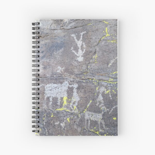 Arcosanti AZ petroglyphs Spiral Notebook