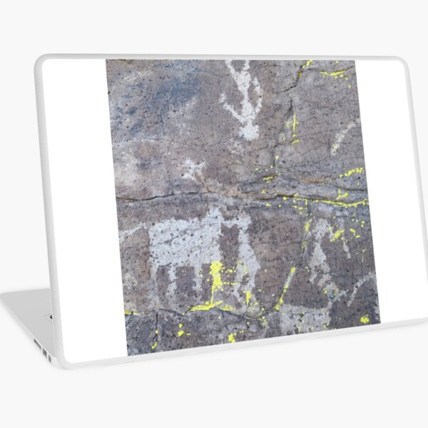 Arcosanti AZ petroglyphs Laptop Skin