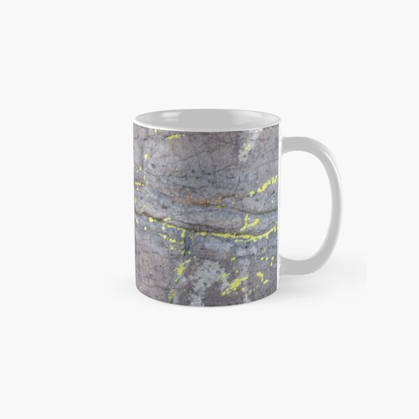 Arcosanti AZ petroglyphs Classic Mug