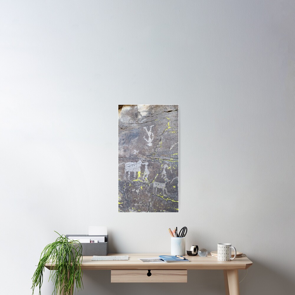 Arcosanti AZ petroglyphs Poster