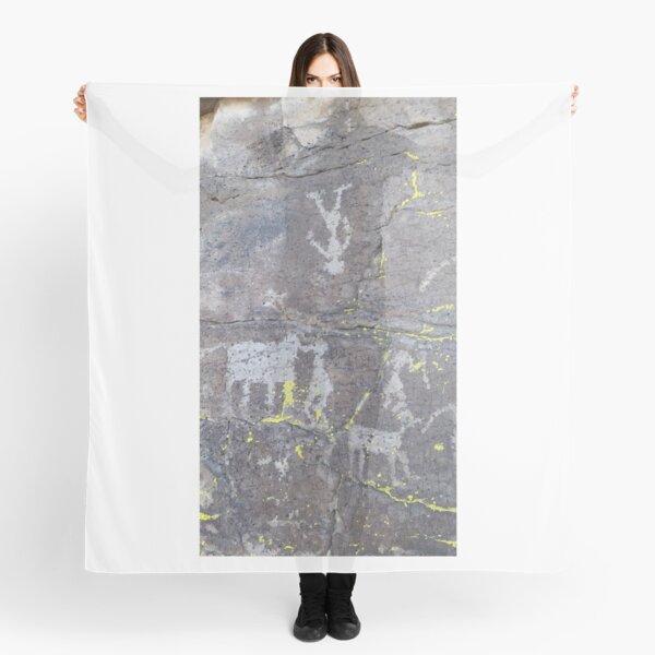 Arcosanti AZ petroglyphs Scarf