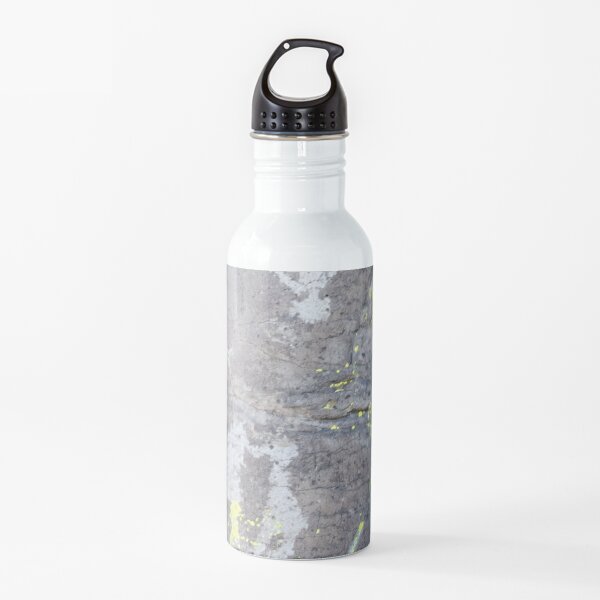 Arcosanti AZ petroglyphs Water Bottle