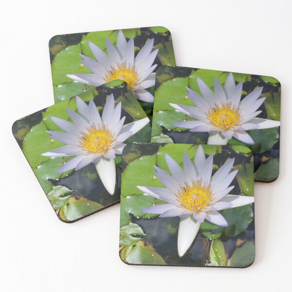 The lotus flower Coasters (Set of 4)