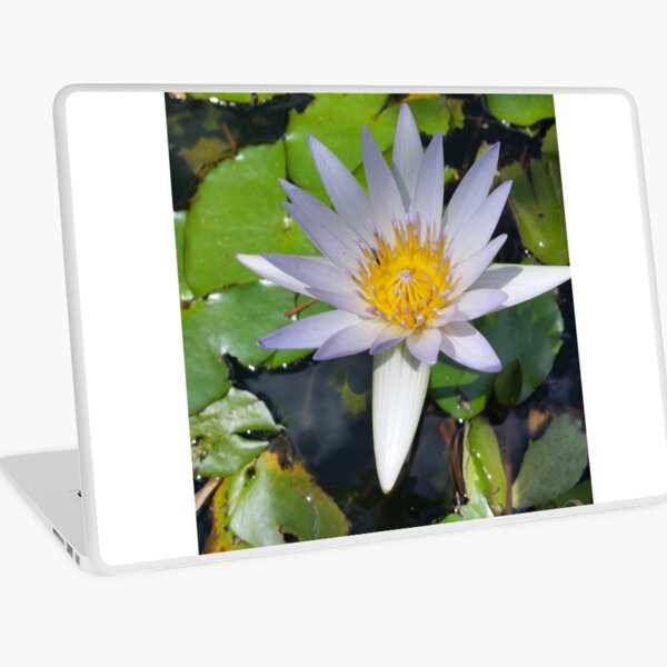The lotus flower Laptop Skin