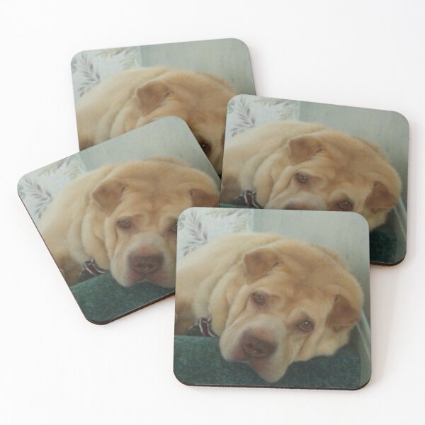 Item preview, You Woke Me Because..... designed and sold by BarbBarcikKeith.