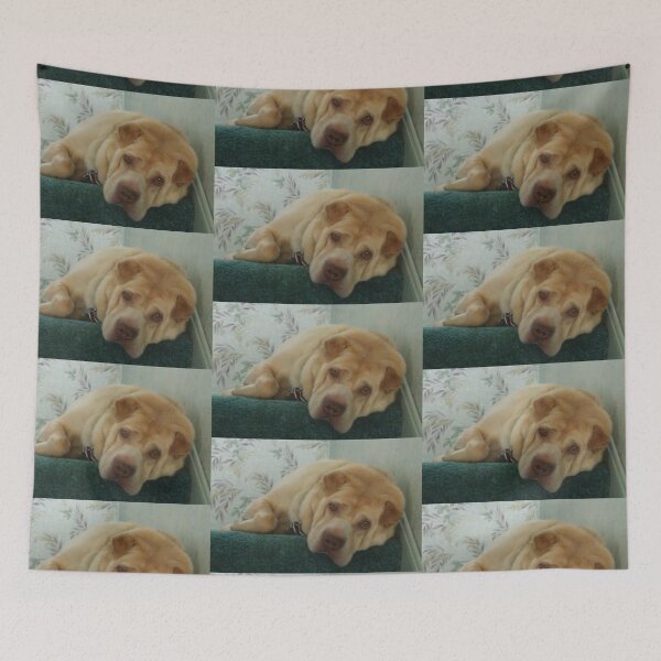 Item preview, You Woke Me Because..... designed and sold by BarbBarcikKeith.