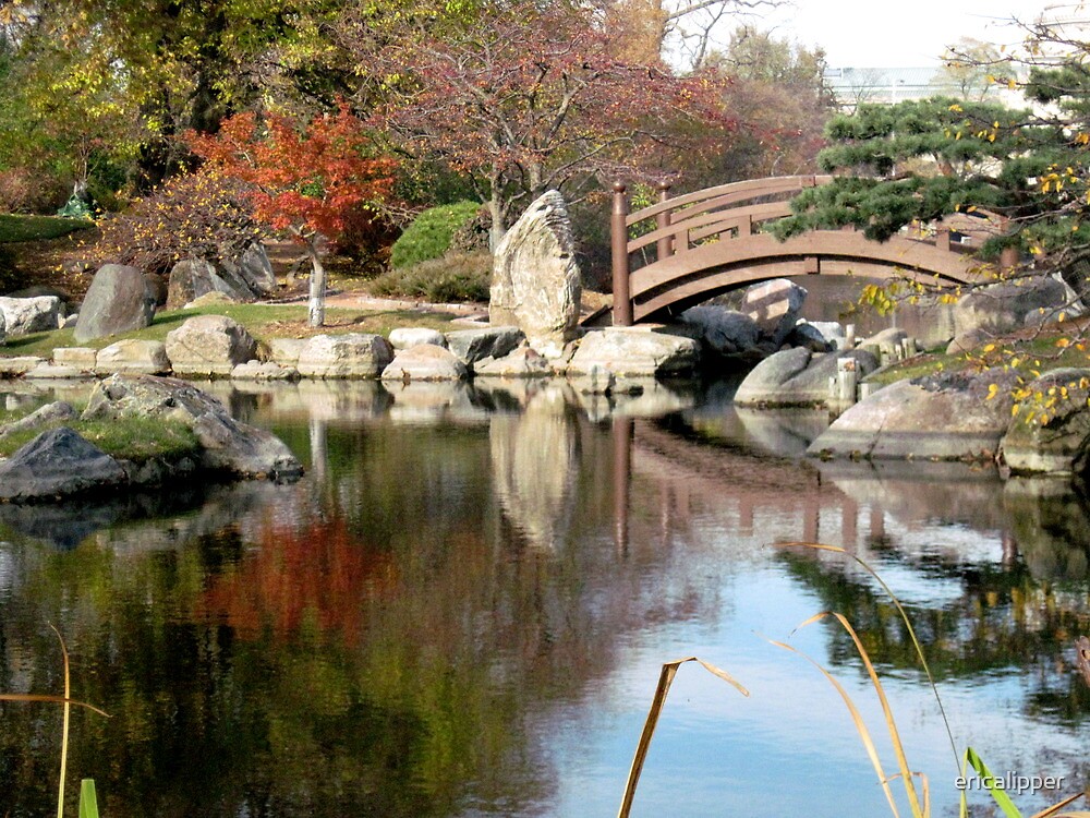 "Japanese Garden, Jackson Park , Chicago" by ericalipper | Redbubble