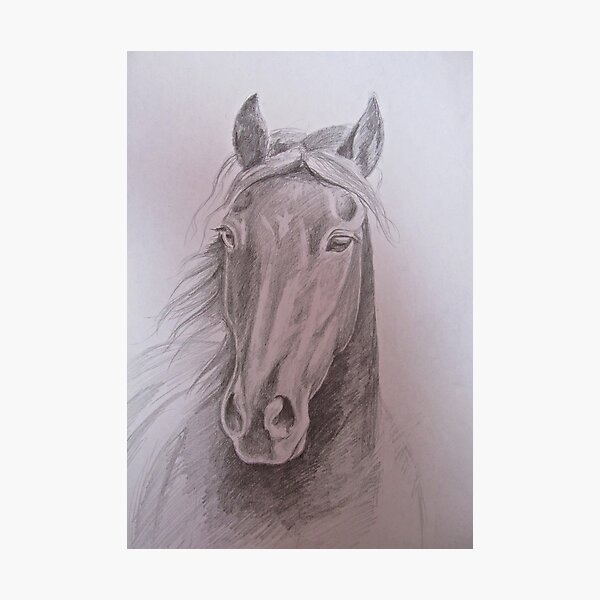 Artikelvorschau, Black Beauty entworfen und verkauft von QuothTheRaven.