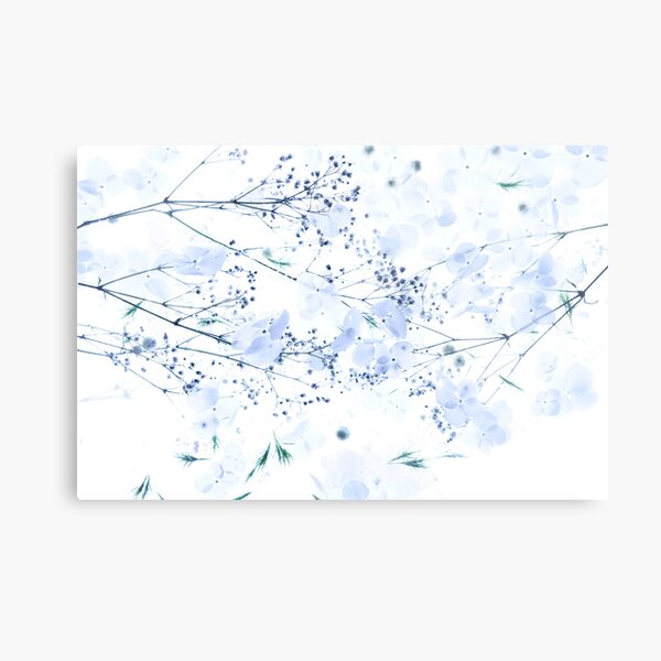 Floating Metal Print
