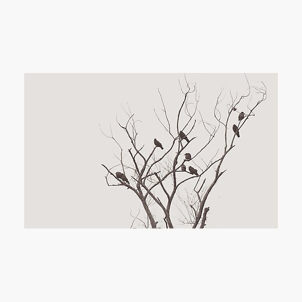 Item preview, crows as usual designed and sold by Nikolay Semyonov.